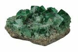 Fluorescent Green Fluorite Cluster - Rogerley Mine, England #173999-1